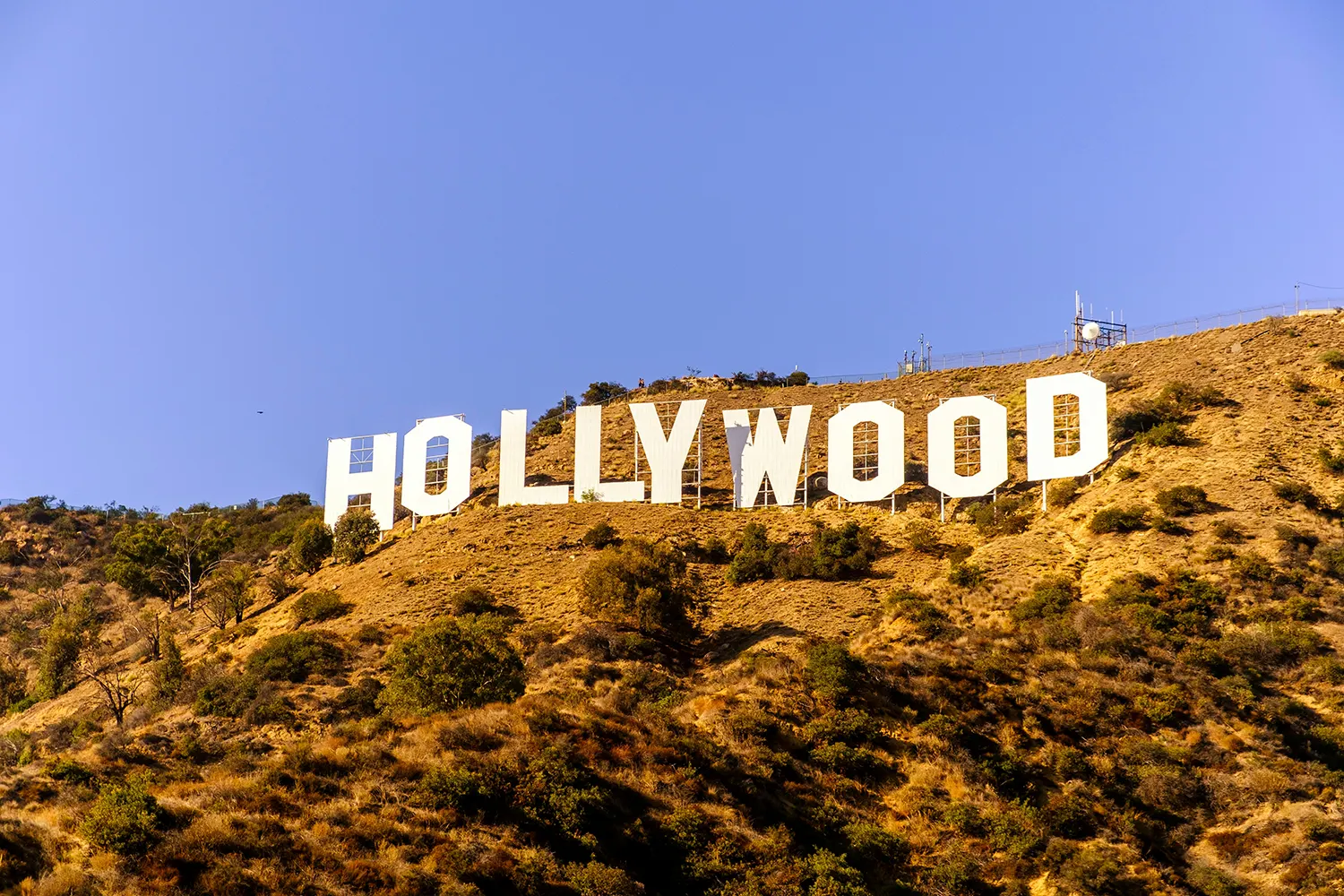 Hollywoodské hvězdy, které používají produkty iS Clinical